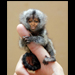 Baby Wookie Michelle